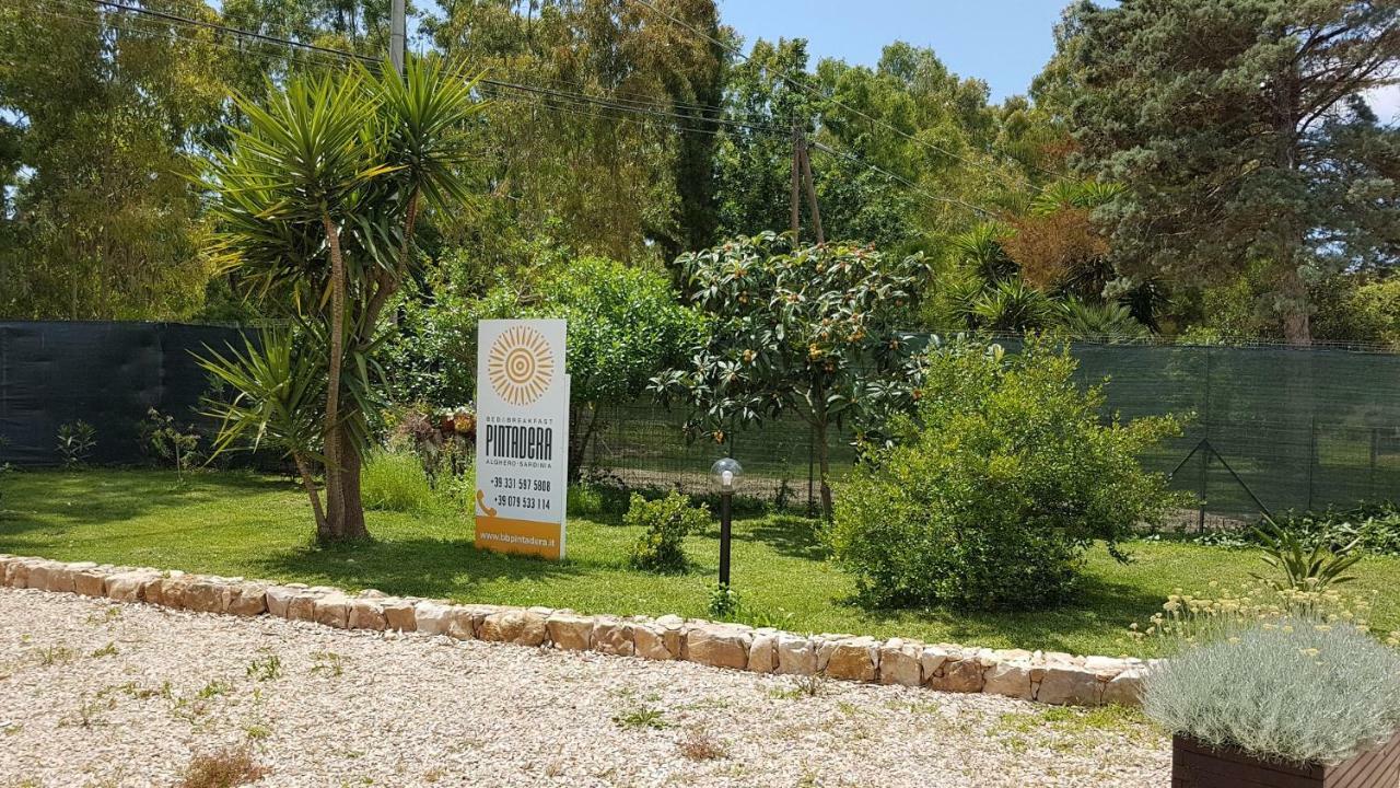 Guesthouse Pintadera Santa Maria la Palma Zewnętrze zdjęcie