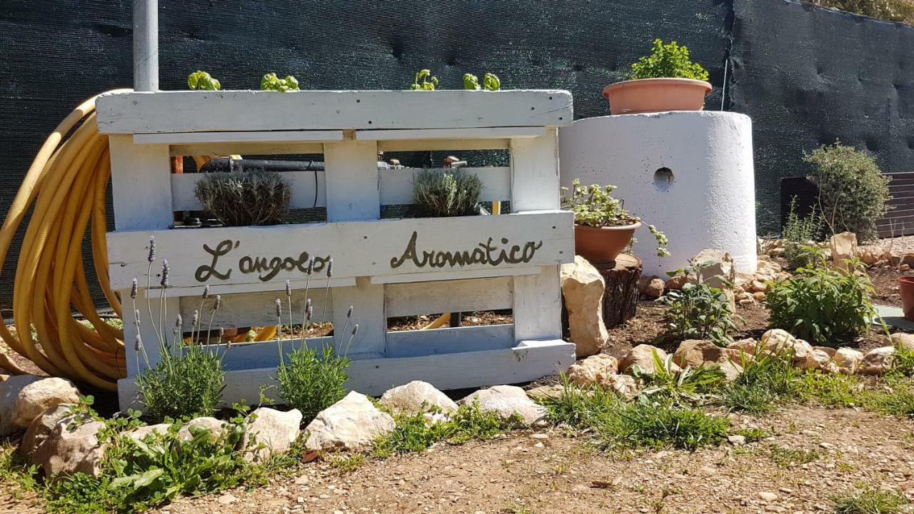 Guesthouse Pintadera Santa Maria la Palma Zewnętrze zdjęcie