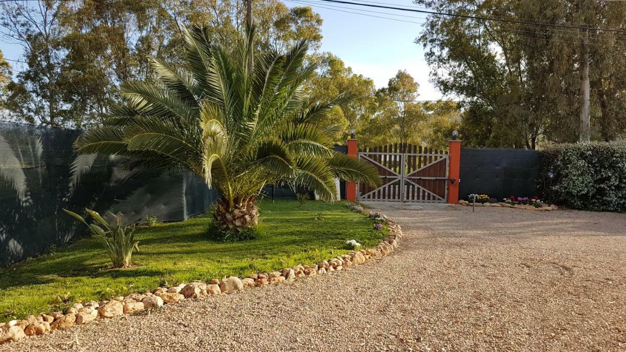 Guesthouse Pintadera Santa Maria la Palma Zewnętrze zdjęcie