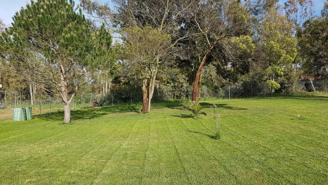 Guesthouse Pintadera Santa Maria la Palma Zewnętrze zdjęcie