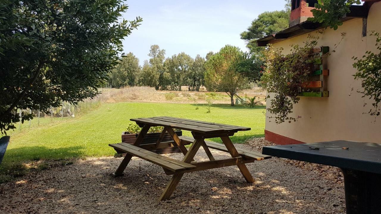 Guesthouse Pintadera Santa Maria la Palma Zewnętrze zdjęcie